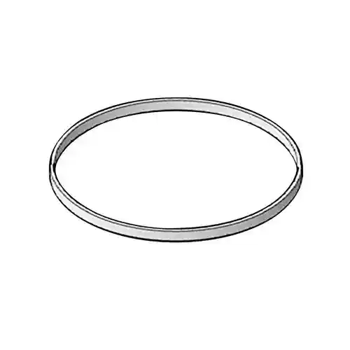 Tube End Hydraulic Seal C124-12